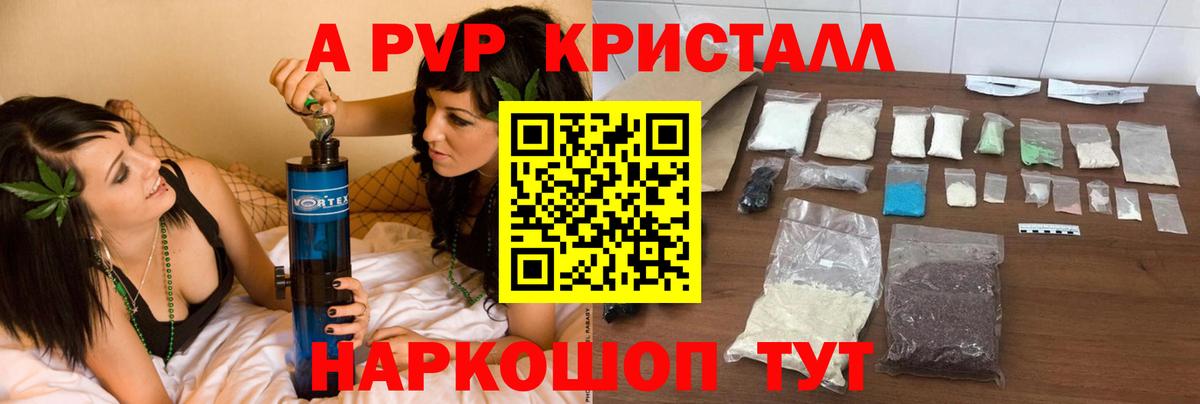 Alfa_PVP СК КРИС Петропавловск-Камчатский