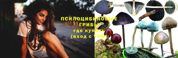 винт Инсар