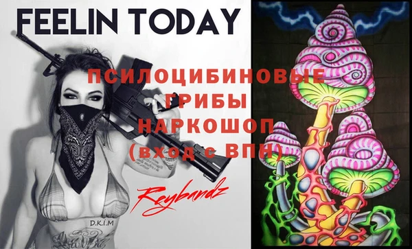 дживик Инта