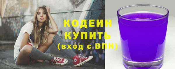 дживик Инта