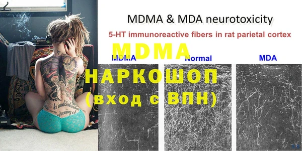 дживик Инта