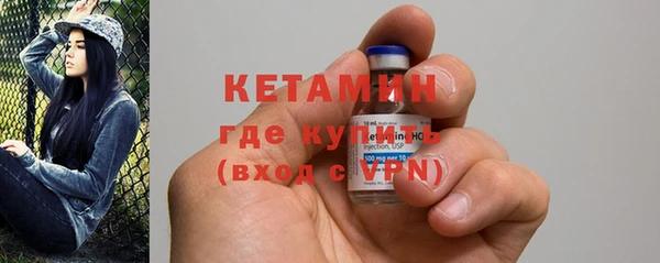дживик Инта