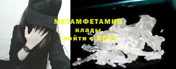 дживик Инта