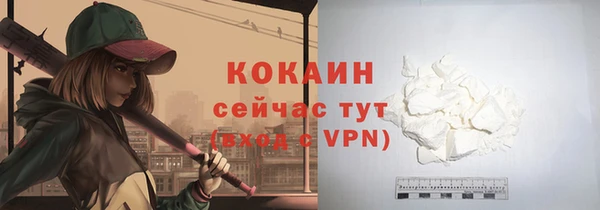 винт Инсар