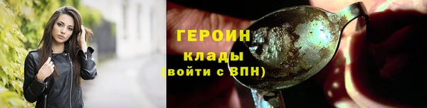 дживик Инта