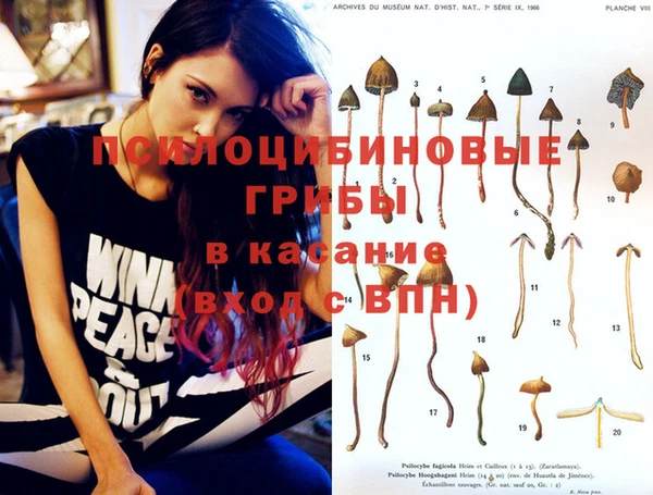 прущие крисы Иннополис