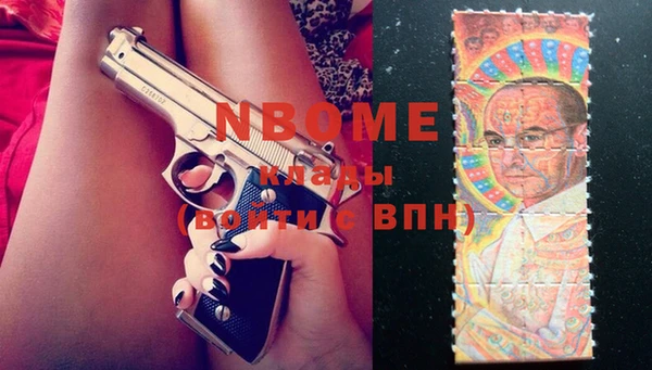 винт Инсар