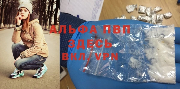 дживик Инта