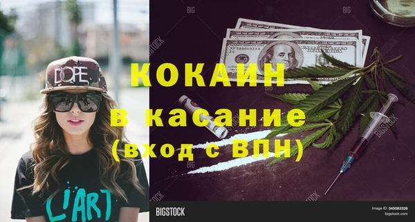 дживик Инта