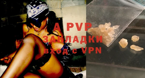 прущие крисы Иннополис