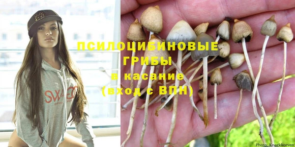винт Инсар
