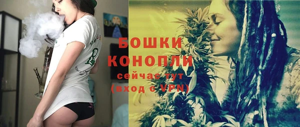 дживик Инта