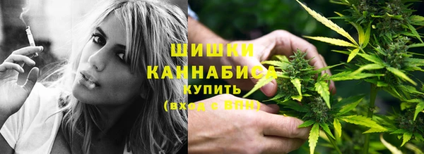 винт Инсар