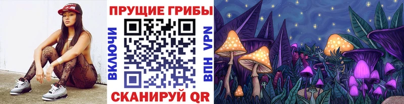 Псилоцибиновые грибы прущие грибы Петропавловск-Камчатский