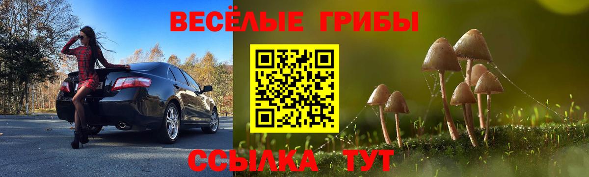 Галлюциногенные грибы Psilocybe  Вход с VPN  Петропавловск-Камчатский 